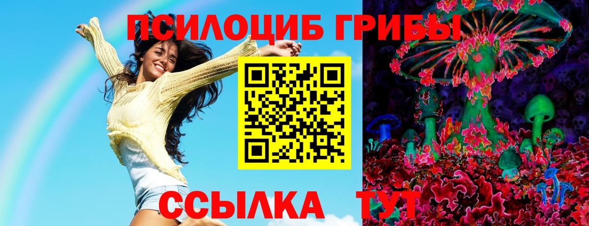 Галлюциногенные грибы GOLDEN TEACHER  Вход с VPN  Галлюциногенные грибы прущие грибы  Железногорск 